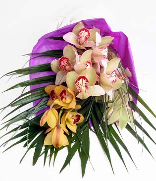  Ordu online iek gnderme sipari  1 adet dal orkide buket halinde sunulmakta