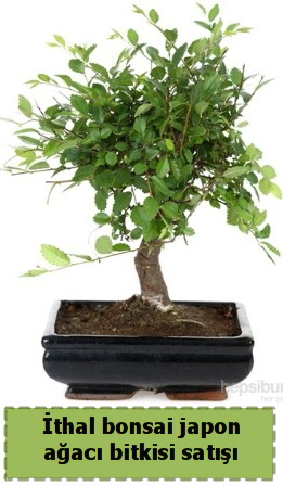 thal bonsai saks iei Japon aac sat  Ordu online ieki , iek siparii 