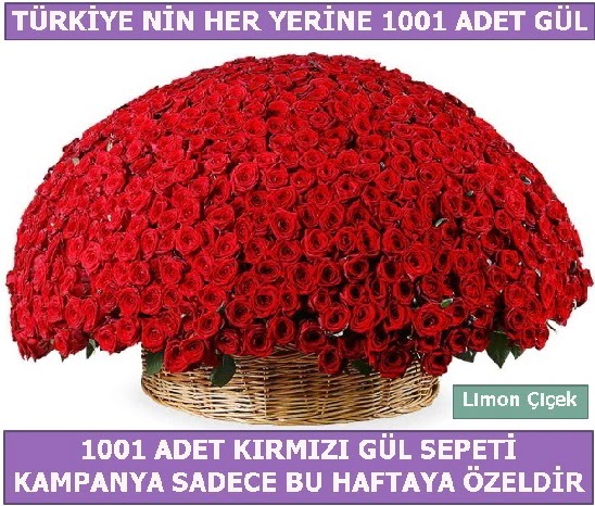 1001 Adet kırmızı gül Bu haftaya özel  Ordu online çiçekçi , çiçek siparişi 