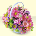  Ordu kaliteli taze ve ucuz çiçekler  bir sepet dolusu kir çiçegi  Ordu çiçek yolla , çiçek gönder , çiçekçi  