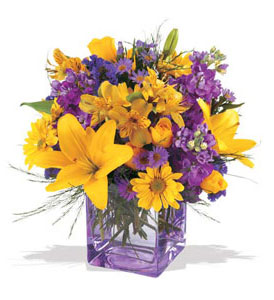  Ordu çiçek online çiçek siparişi  cam içerisinde kir çiçekleri demeti