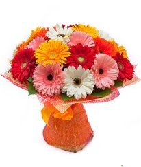 Renkli gerbera buketi  Ordu uluslararası çiçek gönderme 